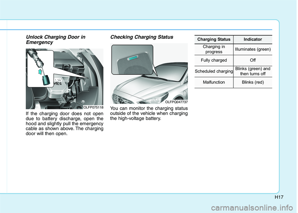 HYUNDAI SONATA HYBRID 2019  Owners Manual H17
Unlock Charging Door inEmergency 
If the charging door does not open 
due to battery discharge, open thehood and slightly pull the emergency
cable as shown above. The chargingdoor will then open.
