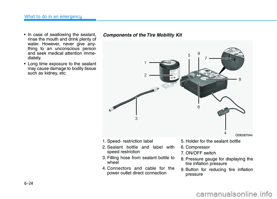 HYUNDAI SONATA HYBRID 2019  Owners Manual 6-24
 In case of swallowing the sealant,
rinse the mouth and drink plenty of 
water. However, never give any-thing to an unconscious personand seek medical attention imme-
diately.
 Long time exposure