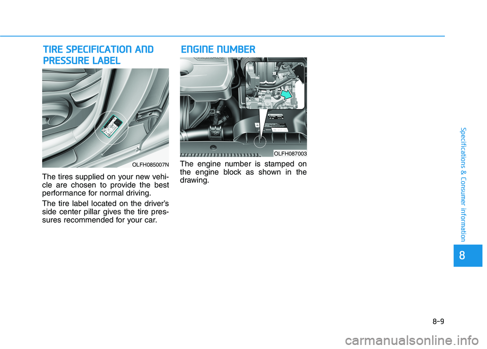HYUNDAI SONATA HYBRID 2019  Owners Manual 8-9
88
Specifications & Consumer information 
The tires supplied on your new vehi- 
cle are chosen to provide the best
performance for normal driving. 
The tire label located on the driver’s 
side c