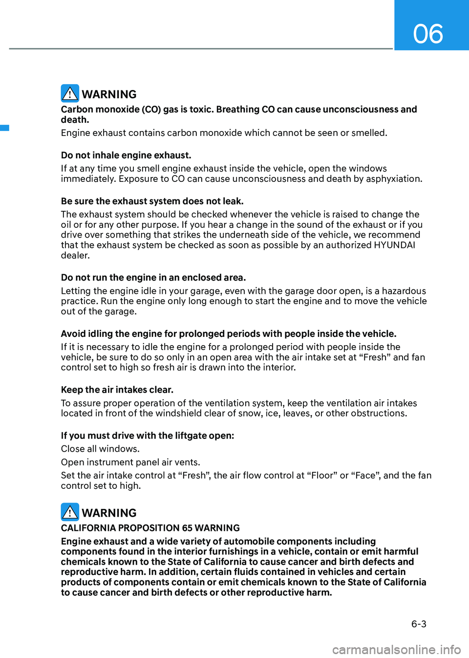 HYUNDAI TUCSON HYBRID 2021  Owners Manual 06
6-3
 WARNING
Carbon monoxide (CO) gas is toxic. Breathing CO can cause unconsciousness and 
death.
Engine exhaust contains carbon monoxide which cannot be seen or smelled.
Do not inhale engine exha