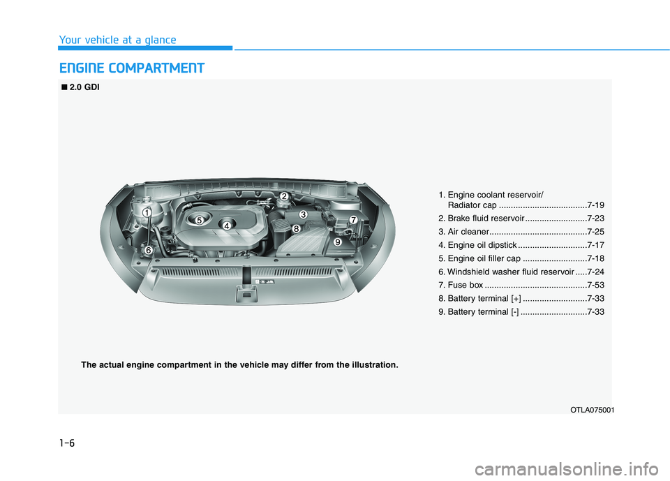 HYUNDAI TUCSON 2021  Owners Manual 1-6
E EN
NG
GI
IN
NE
E 
 C
CO
OM
MP
PA
AR
RT
TM
ME
EN
NT
T
Your vehicle at a glance
OTLA075001 ■ ■
2.0 GDI
1. Engine coolant reservoir/
Radiator cap .....................................7-19
2. Br