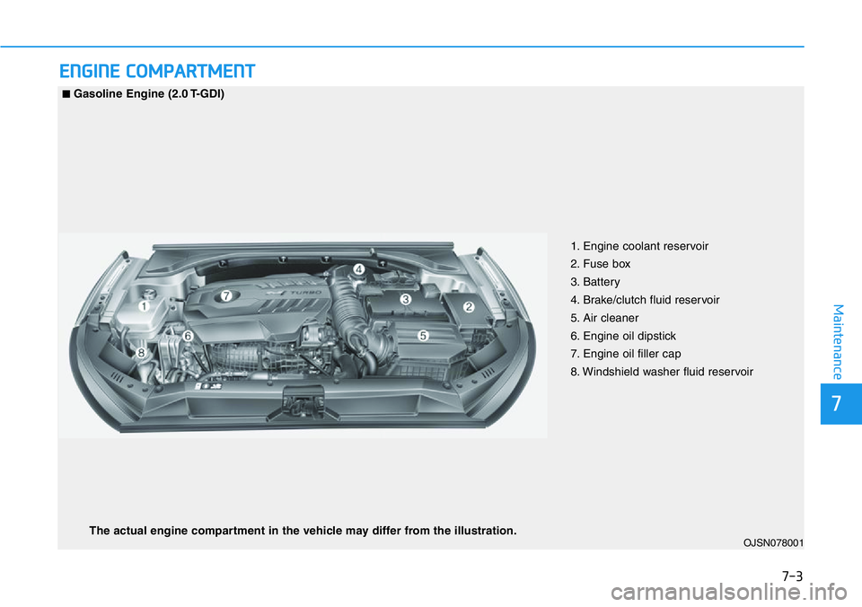 HYUNDAI VELOSTER 2022  Owners Manual 7-3
7
Maintenance
ENGINE COMPARTMENT 
OJSN078001 
■Gasoline Engine (2.0 T-GDI)
1. Engine coolant reservoir
2. Fuse box 
3. Battery
4. Brake/clutch fluid reservoir
5. Air cleaner
6. Engine oil dipsti