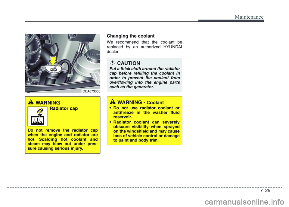 HYUNDAI I10 2013  Owners Manual 725
Maintenance
Changing the coolant
We recommend that the coolant be
replaced by an authorized HYUNDAI
dealer.
CAUTION
Put a thick cloth around the radiator
cap before refilling the coolant in
order 