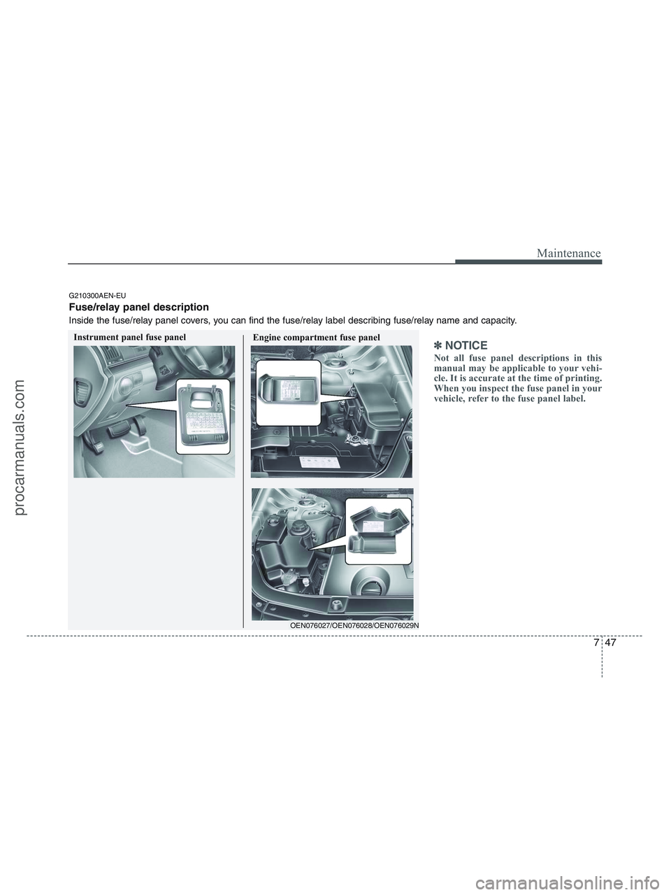 HYUNDAI VERACRUZ 2010  Owners Manual 747
Maintenance
✽ ✽
NOTICE
Not all fuse panel descriptions in this
manual may be applicable to your vehi-
cle. It is accurate at the time of printing.
When you inspect the fuse panel in your
vehic