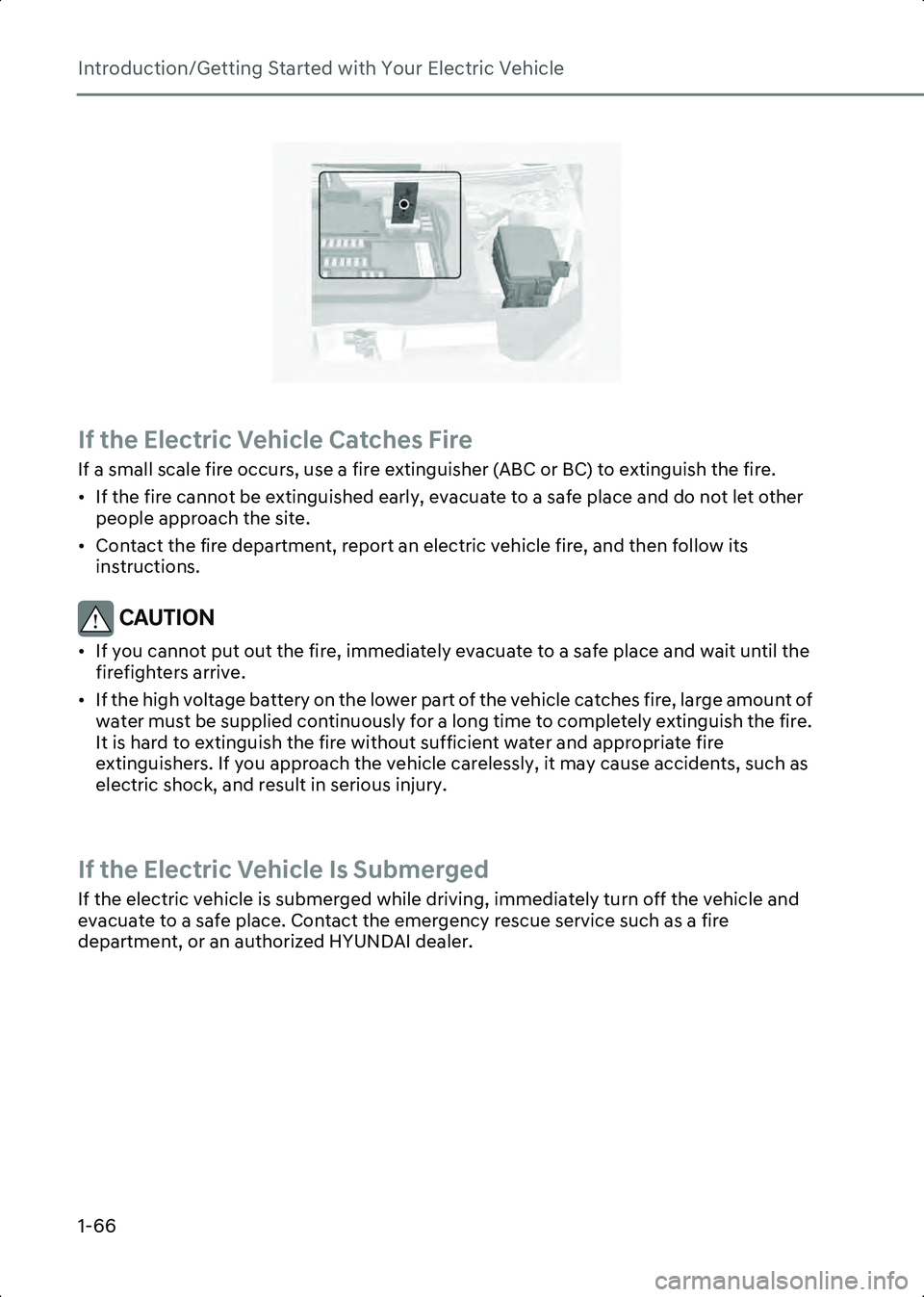 HYUNDAI IONIQ 6 2023  Owners Manual Introduction/Getting Started with Your Electric Vehicle
1-66
B0003101
If the Electric Vehicle Catches Fire
If a small scale fire occurs, use a fire extinguisher (ABC or BC) to extinguish the fire.
•