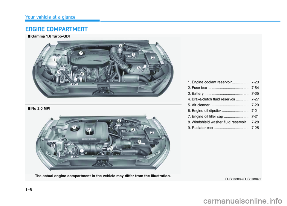 HYUNDAI VELOSTER 2020  Owners Manual 1-6
Your vehicle at a glance
E EN
NG
GI
IN
NE
E 
 C
CO
OM
MP
PA
AR
RT
TM
ME
EN
NT
T
1. Engine coolant reservoir ...................7-23
2. Fuse box ...........................................7-54
3. B