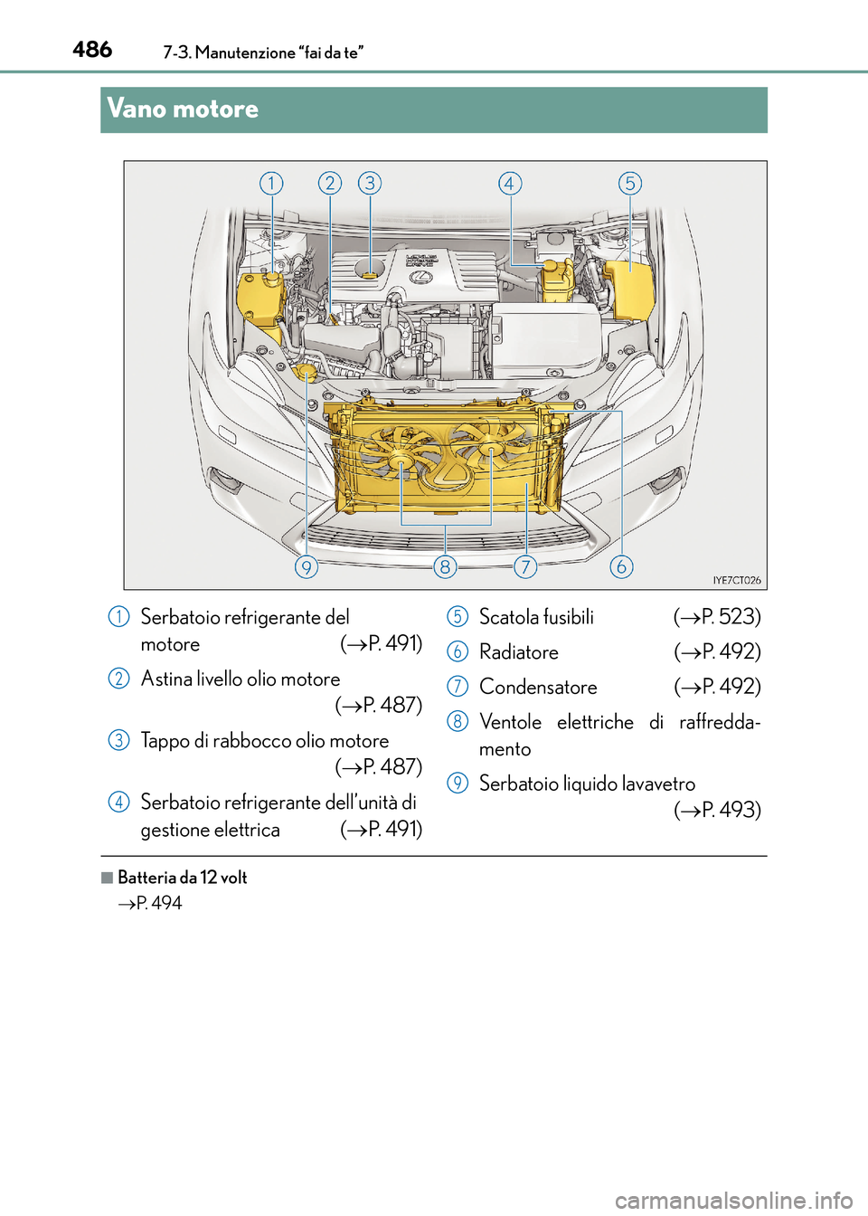 Lexus CT200h 2017  Manuale del proprietario (in Italian) 4867-3. Manutenzione “fai da te”
CT200h_OM_OM99N10L_(EL)
Va n o  m o t o r e
■Batteria da 12 volt
→P.  4 9 4
Serbatoio refrigerante del 
motore ( →P.  4 9 1 )
Astina livello olio motore  (
