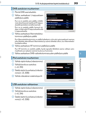 Page 313