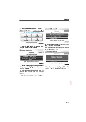Page 317