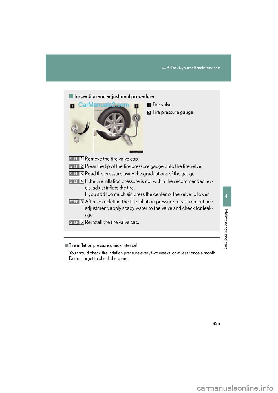 Lexus ES350 2008  Owners Manual 325
4-3. Do-it-yourself maintenance
4
Maintenance and care
ES350_U_(L/O_0708)
.
■Tire inflation pressure check interval
You should check tire inflation pressure every two weeks, or at least once a m