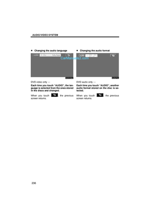Page 238