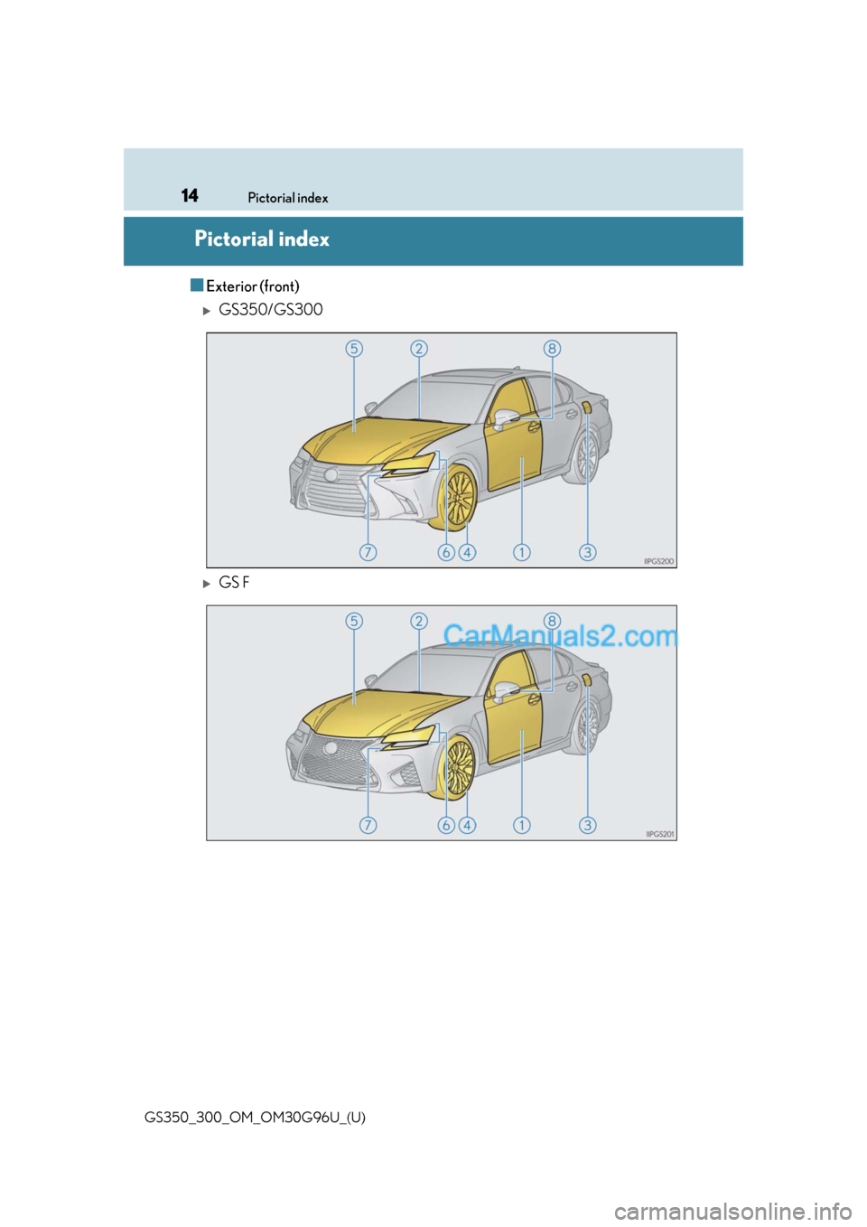 Lexus GS300 2019  Owners Manual 14Pictorial index
GS350_300_OM_OM30G96U_(U)
Pictorial index
■Exterior (front)
GS350/GS300
GS F  