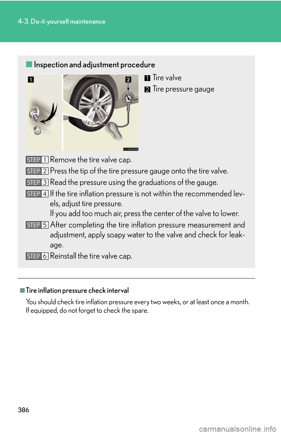 Lexus GS450h 2007  Scheduled Maintenance Guide / LEXUS 2007 GS450H THROUGH JUNE 2006 PROD. OWNERS MANUAL (OM30727U) 386
4-3. Do-it-yourself maintenance
.
■Tire inflation pressure check interval
You should check tire inflation pressure every two weeks, or at least once a month.
If equipped, do not forget to che