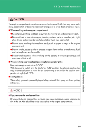 Page 319