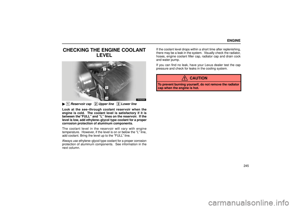 Lexus IS300 2002  Electrical Components / LEXUS 2002 IS300 SEDAN OWNERS MANUAL (OM9997X) ENGINE
245
CHECKING THE ENGINE COOLANTLEVEL
SV62006
 1Reservoir cap   2Upper line   3Lower line
Look at the see±through coolant reservoir when the
engine is cold.  The coolant level is satisfactory 