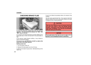 Page 262