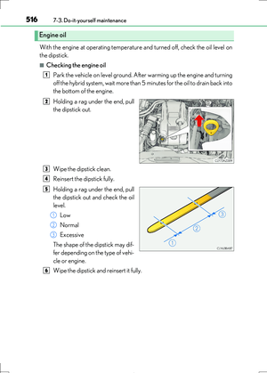 Page 516