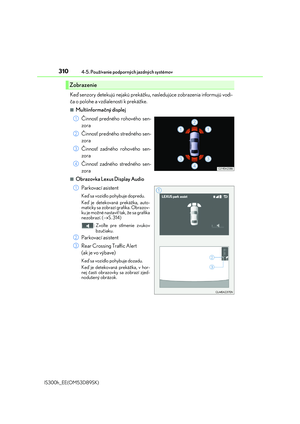 Page 310
