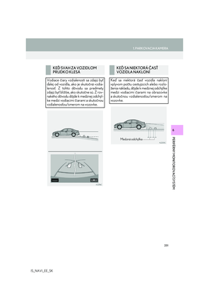 Page 251