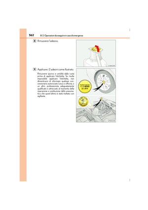 Page 562