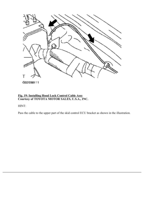 Page 3003