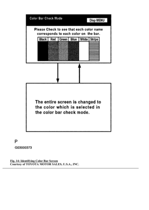 Page 4455