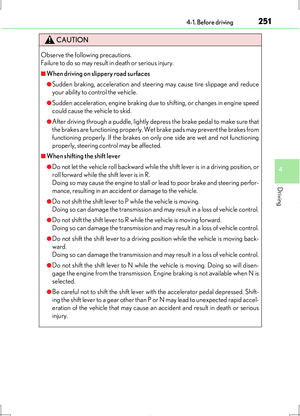 Page 251