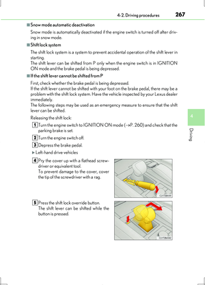 Page 267