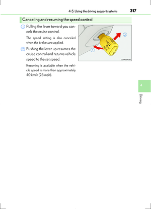 Page 317