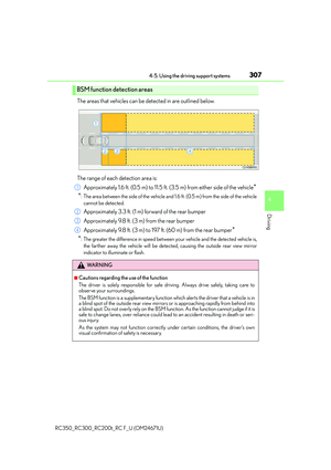 Page 307