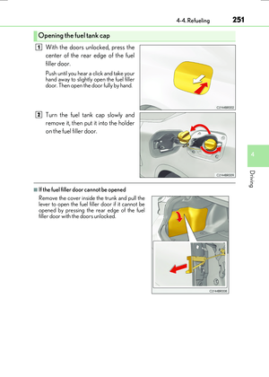 Page 251