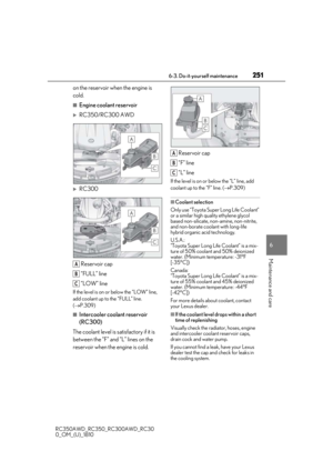 Page 251