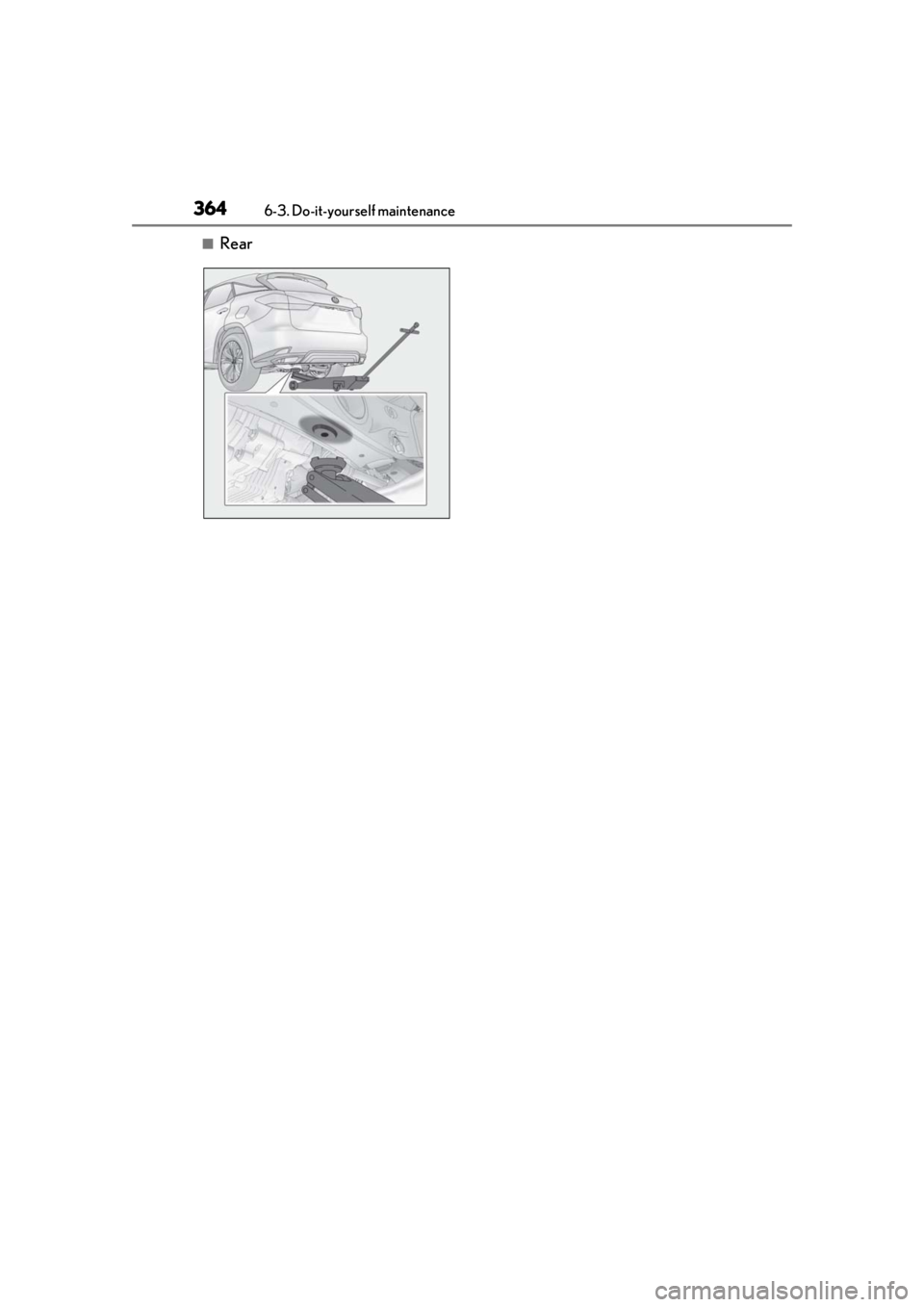 LEXUS RX350 2020  Owners Manual 3646-3. Do-it-yourself maintenance
■Rear 