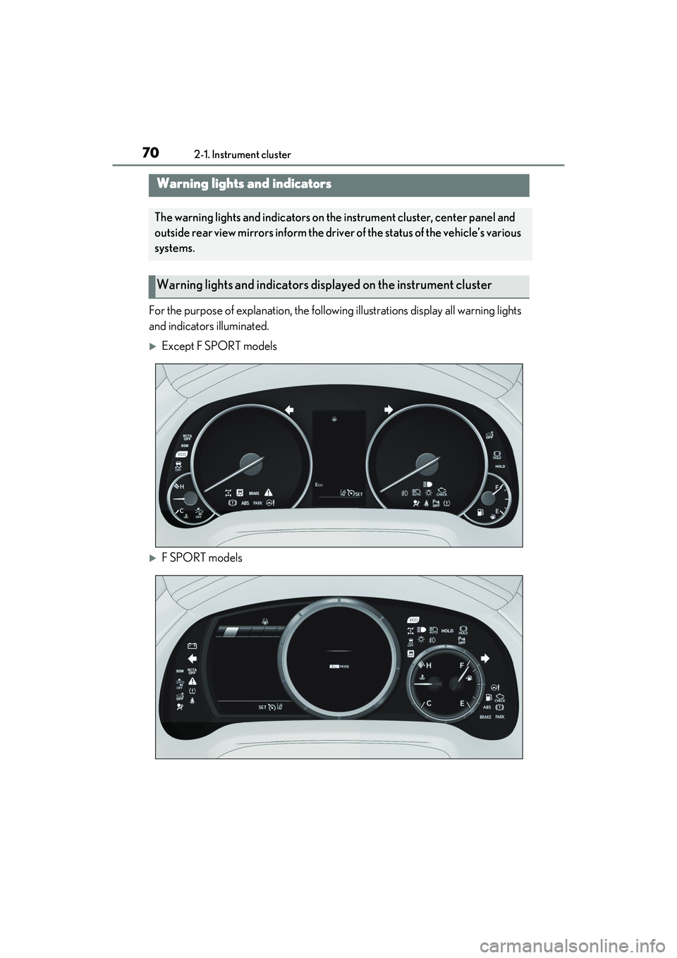 LEXUS RX350 2022  Owners Manual 702-1. Instrument cluster
2-1.Instrument cluster
For the purpose of explanation, the following illustrations display all warning lights 
and indicators illuminated.
Except F SPORT models
F SPORT