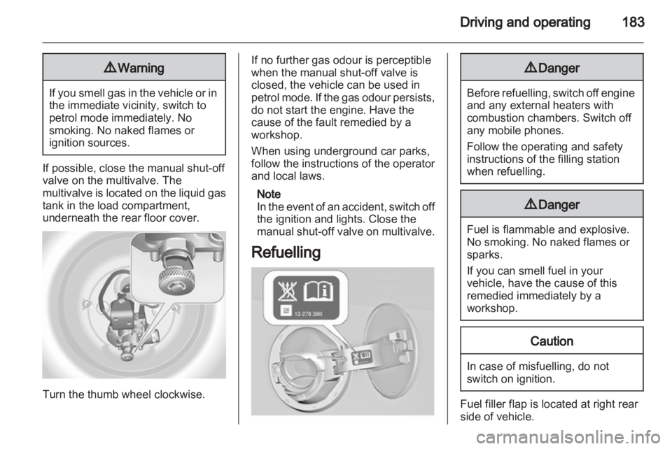 OPEL INSIGNIA 2013  Manual user 
