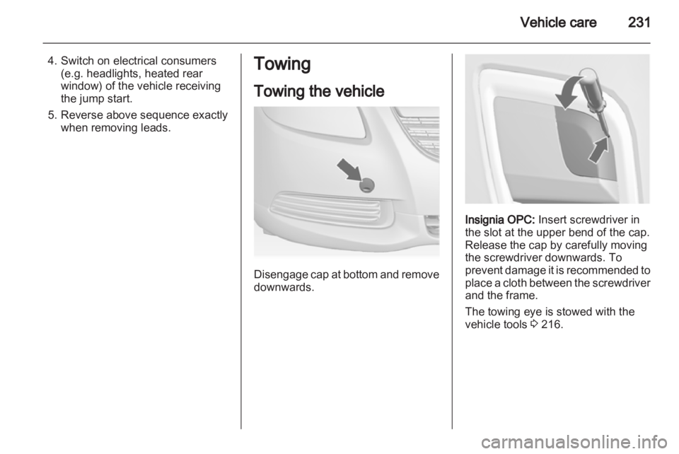 OPEL INSIGNIA 2013  Owners Manual 