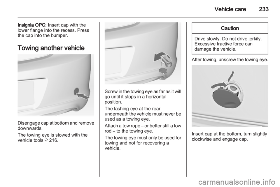 OPEL INSIGNIA 2013  Owners Manual 