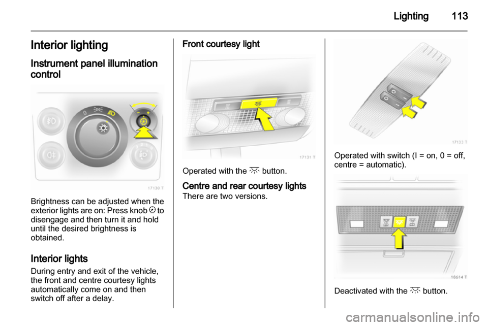 OPEL ZAFIRA 2010  Owners Manual 