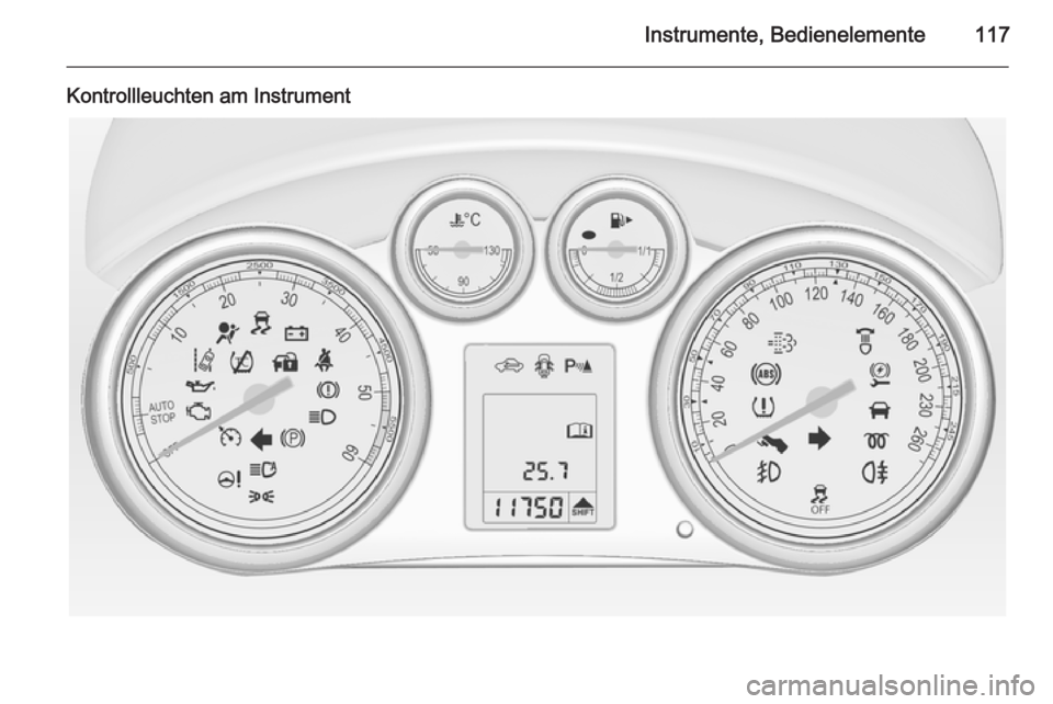 OPEL ASTRA J 2014.5  Betriebsanleitung (in German) Instrumente, Bedienelemente117
Kontrollleuchten am Instrument 