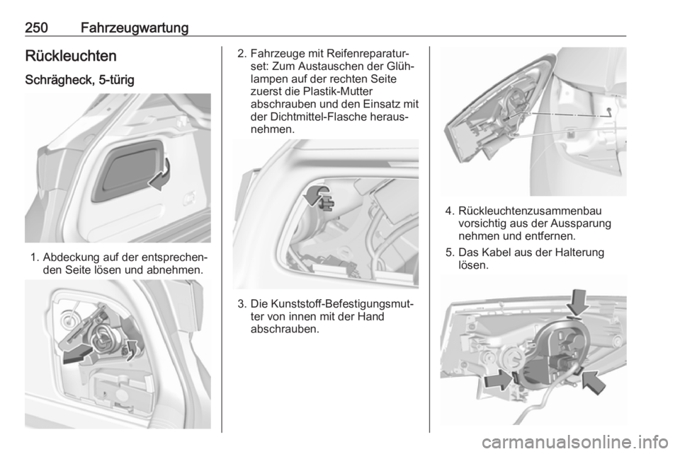 OPEL ASTRA K 2017  Betriebsanleitung (in German) 250FahrzeugwartungRückleuchtenSchrägheck, 5-türig
1. Abdeckung auf der entsprechen‐ den Seite lösen und abnehmen.
2. Fahrzeuge mit Reifenreparatur‐set: Zum Austauschen der Glüh‐
lampen auf 