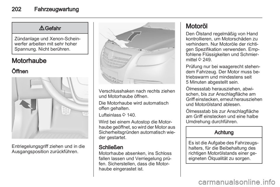 OPEL INSIGNIA 2013  Betriebsanleitung (in German) 