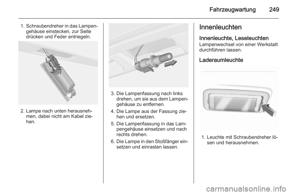 OPEL INSIGNIA 2014  Betriebsanleitung (in German) Fahrzeugwartung249
1.Schraubendreher in das Lampen‐
gehäuse einstecken, zur Seite
drücken und Feder entriegeln.
2. Lampe nach unten herausneh‐ men, dabei nicht am Kabel zie‐
hen.
3. Die Lampen