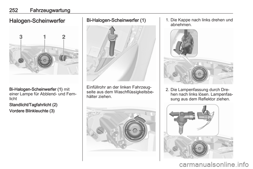 OPEL INSIGNIA 2016.5  Betriebsanleitung (in German) 252FahrzeugwartungHalogen-Scheinwerfer
Bi-Halogen-Scheinwerfer (1) mit
einer Lampe für Abblend- und Fern‐
licht
Standlicht/Tagfahrlicht (2)
Vordere Blinkleuchte (3)
Bi-Halogen-Scheinwerfer (1)
Einf