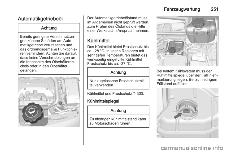 OPEL INSIGNIA 2017  Betriebsanleitung (in German) Fahrzeugwartung251AutomatikgetriebeölAchtung
Bereits geringste Verschmutzun‐
gen können Schäden am Auto‐
matikgetriebe verursachen und
das ordnungsgemäße Funktionie‐
ren verhindern. Achten 