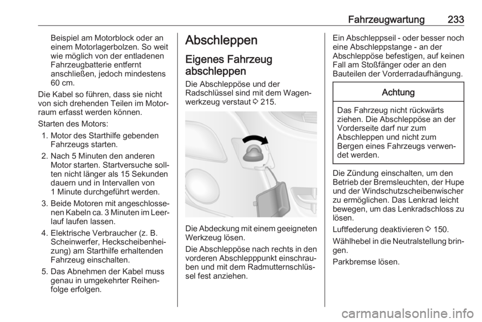 OPEL MOVANO_B 2018.5  Betriebsanleitung (in German) Fahrzeugwartung233Beispiel am Motorblock oder an
einem Motorlagerbolzen. So weit
wie möglich von der entladenen
Fahrzeugbatterie entfernt anschließen, jedoch mindestens
60 cm.
Die Kabel so führen, 