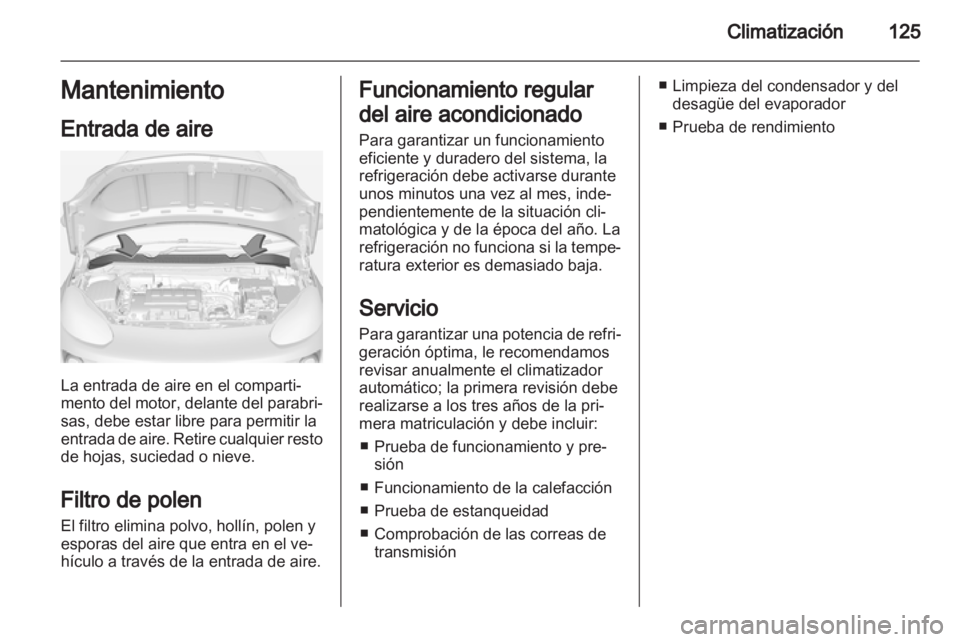 OPEL ADAM 2013.5  Manual de Instrucciones (in Spanish) 