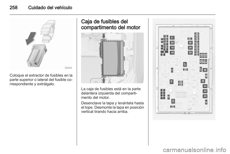 OPEL ASTRA J 2013  Manual de Instrucciones (in Spanish) 