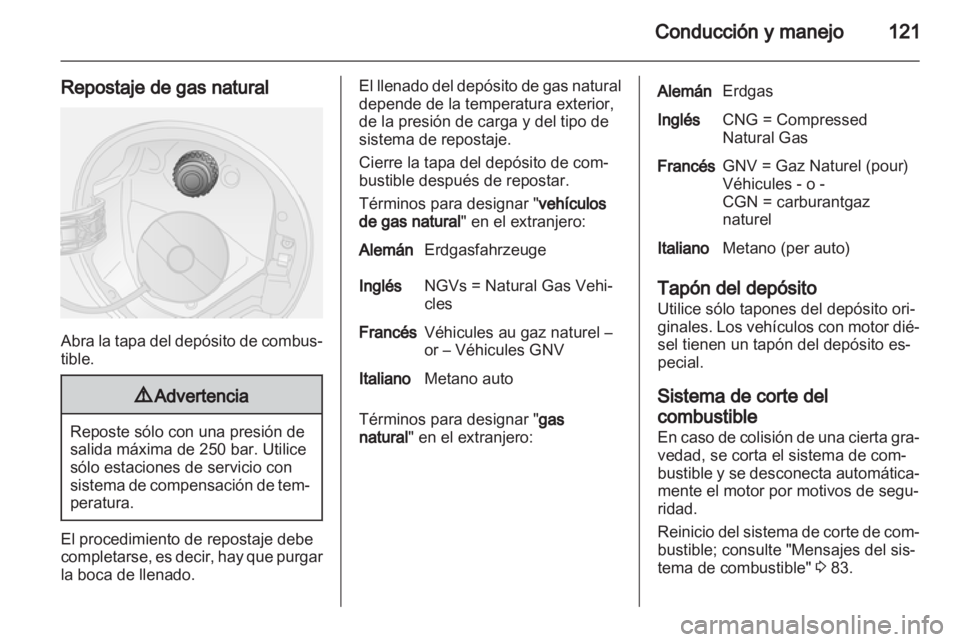 OPEL COMBO D 2013  Manual de Instrucciones (in Spanish) 