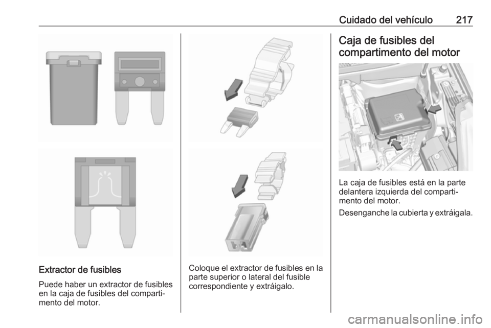 OPEL CROSSLAND X 2019  Manual de Instrucciones (in Spanish) Cuidado del vehículo217
Extractor de fusibles
Puede haber un extractor de fusibles
en la caja de fusibles del comparti‐
mento del motor.Coloque el extractor de fusibles en la parte superior o later