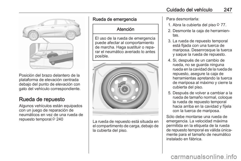 OPEL GRANDLAND X 2018  Manual de Instrucciones (in Spanish) Cuidado del vehículo247
Posición del brazo delantero de la
plataforma de elevación centrada
debajo del punto de elevación con
gato del vehículo correspondiente.
Rueda de repuesto Algunos vehícul